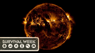 The Best of Gizmodo This Week